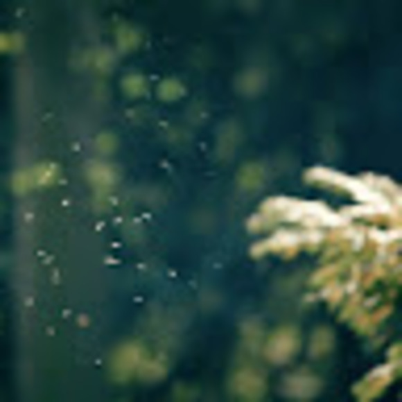 Meet your Posher, Amanda - Picture 1 of 1